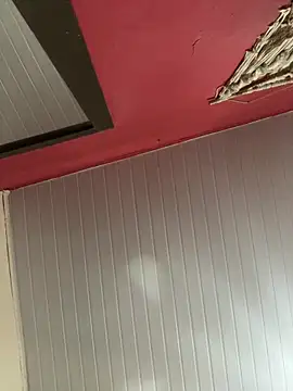 pimenta gaby online show from 8, 6, 2026