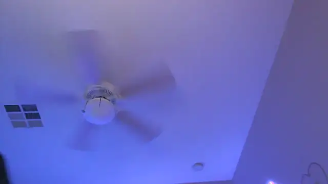 nativepumpkin95 online show from 15, 2, 2025