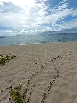 LightedWoman online show from 2, 1, 2025