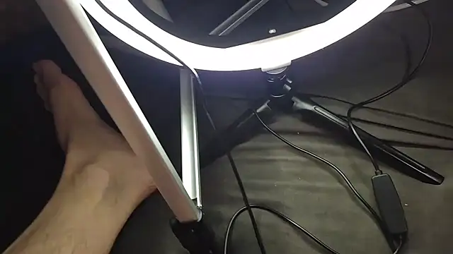 Majestic-Class online show from 2, 2, 2026