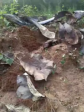 Gopal1243 online show from 20, 2, 2025