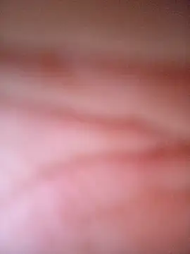 Snapshot of CASADASIGILO2 chatting on 13, 11, 2025 CASADASIGILO2 online show from 13, 11, 2025