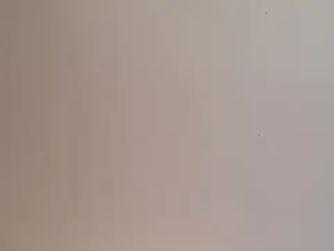 Snapshot of highstepper500 chatting on 25, 12, 2024 highstepper500 online show from 25, 12, 2024