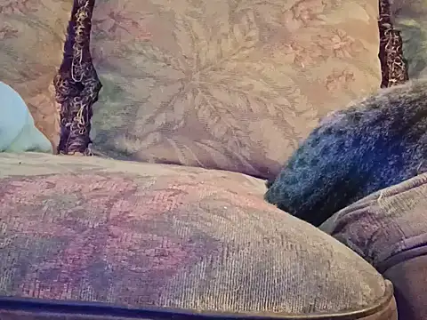 highstepper500 online show from 2, 12, 2025