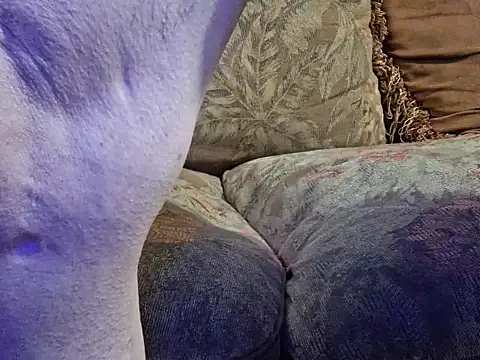 highstepper500 online show from 20, 2, 2026