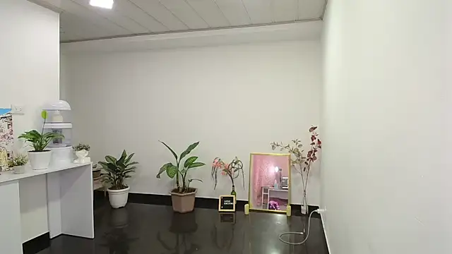 Snapshot of NicoleCortez chatting on 12, 12, 2024 NicoleCortez online show from 12, 12, 2024