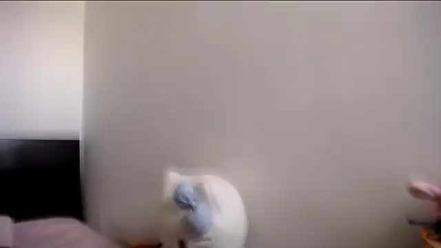 Snapshot of MARIANADIRTY chatting on 11, 11, 2025 MARIANADIRTY online show from 11, 11, 2025