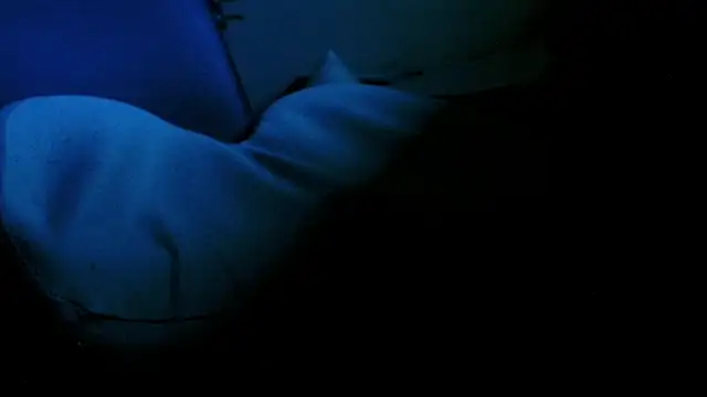 Snapshot of blow2gold chatting on 12, 11, 2025 blow2gold online show from 12, 11, 2025