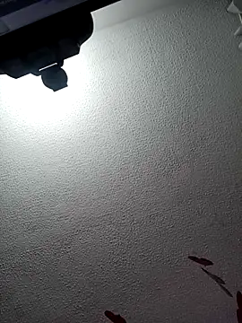 Deina bunny online show from 20, 2, 2025