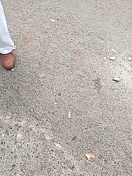 sum6255 online show from 24, 11, 2025