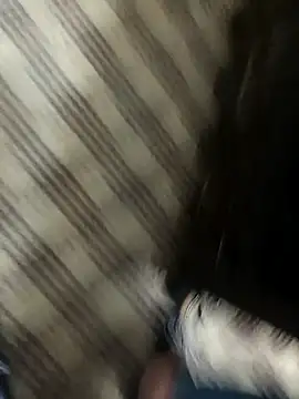 hotdickhow online show from 8, 3, 2025