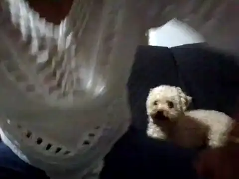 Snapshot of RAYA_1 chatting on 2, 2, 2025 RAYA 1 online show from 2, 2, 2025