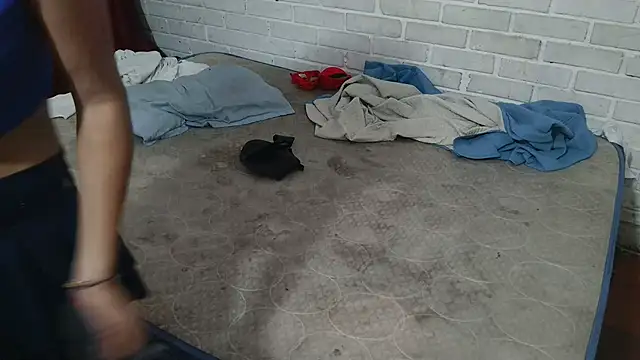 Snapshot of valeriaswang_Lucas chatting on 25, 11, 2025 valeriaswang Lucas online show from 25, 11, 2025