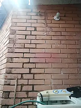 valeriaswang Lucas online show from 4, 12, 2025