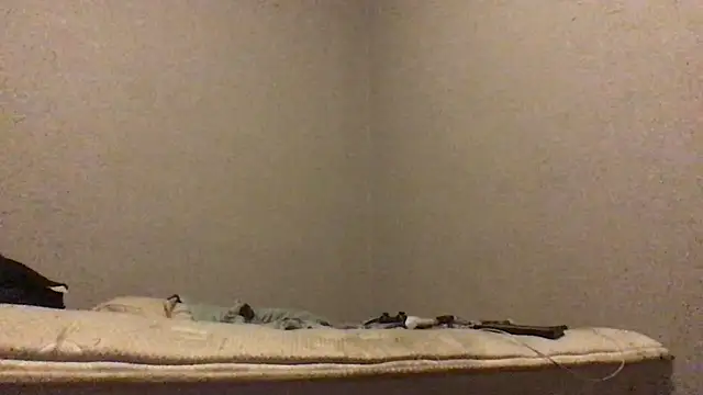 mondo29 online show from 7, 12, 2024