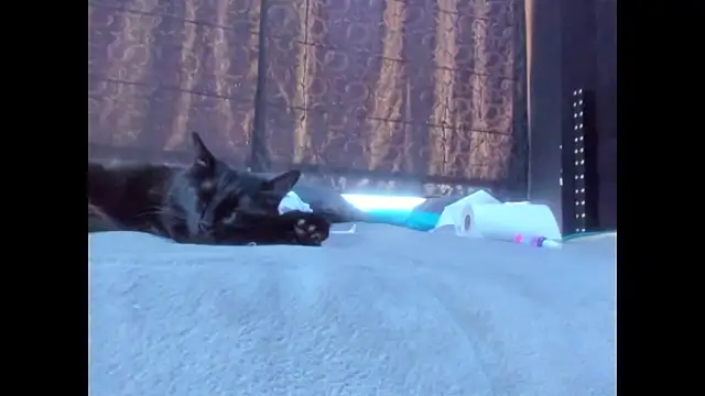 amareto queen online show from 25, 3, 2026