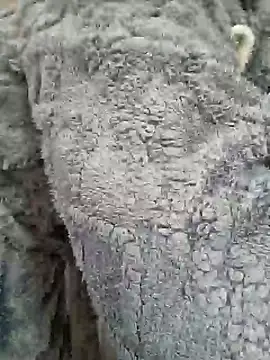 AmGuy23 online show from 30, 1, 2025