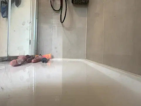 angelus112 online show from 29, 3, 2026