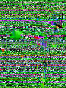 Snapshot of eva_six chatting on 20, 12, 2024 eva six online show from 20, 12, 2024