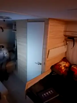 Ebinator666 online show from 8, 11, 2025