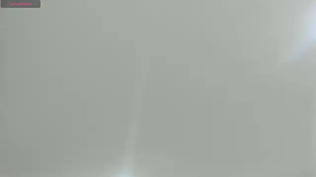 natasha logan  online show from 21, 2, 2025