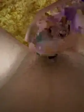 papi88 online show from 6, 3, 2026