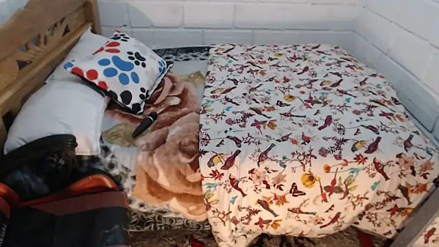 sexyjustin202 online show from 19, 12, 2025