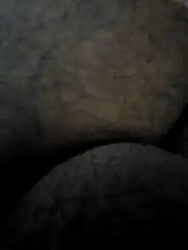 Snapshot of Mallupaiyanaachu chatting on 3, 2, 2025 Mallupaiyanaachu online show from 3, 2, 2025