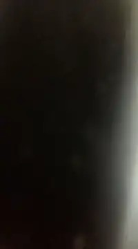 Likewise online show from 22, 12, 2024