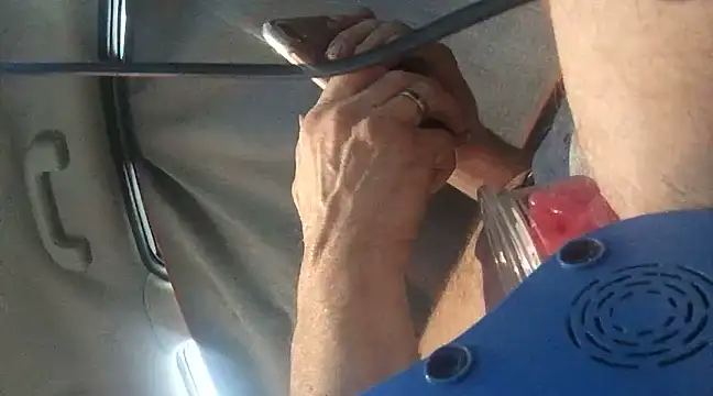 Likewise online show from 29, 12, 2024