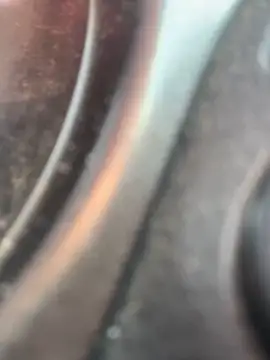 Likewise online show from 20, 3, 2025