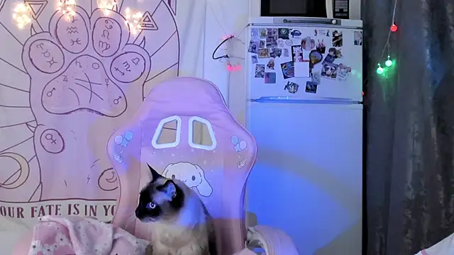 Holy420lolii online show from 18, 1, 2026