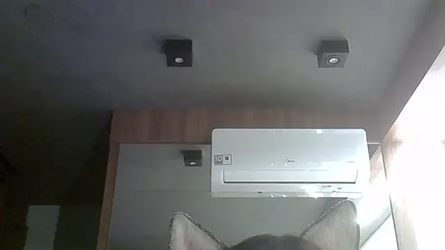 Skinny-Kitten online show from 4, 10, 2025