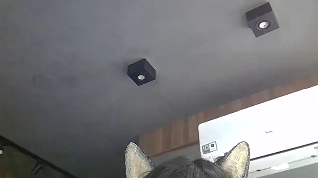 Skinny-Kitten online show from 4, 3, 2026