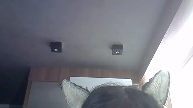 Skinny-Kitten online show from 22, 5, 2026