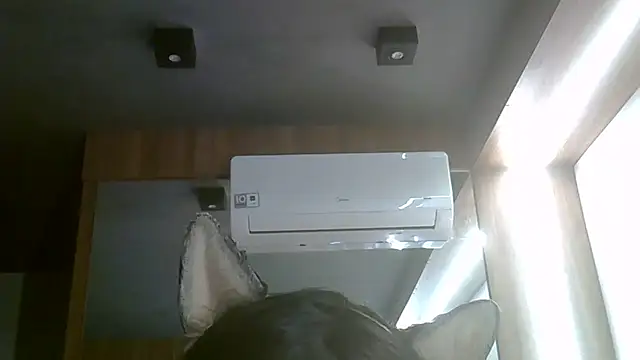 Snapshot of Skinny-Kitten chatting on 5, 7, 2026 Skinny-Kitten online show from 5, 7, 2026
