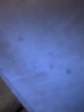 Adamvarga0318 online show from 8, 2, 2025