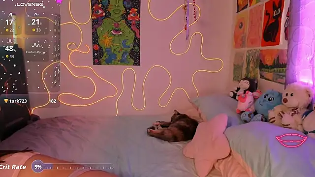 Cinnamon Meow online show from 1, 4, 2026