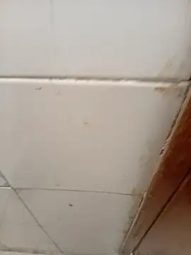 ManBlackhot online show from 4, 4, 2026