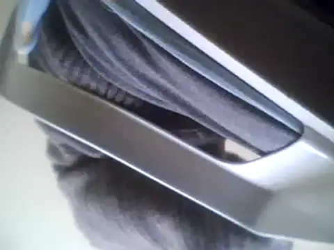 bestofyalcinturkey online show from 3, 3, 2025