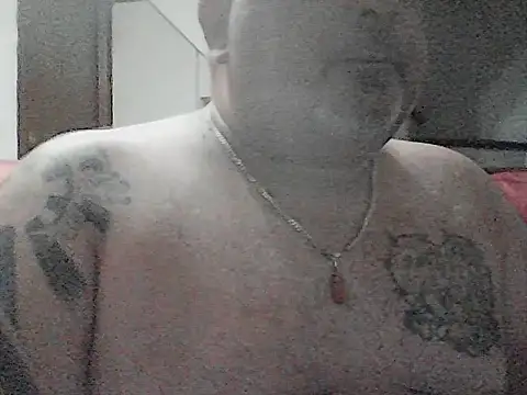 Paolino 8316 online show from 24, 7, 2026
