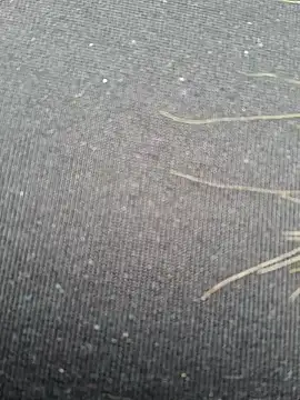 Evehampy online show from 1, 12, 2024