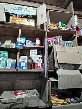 Evehampy online show from 3, 1, 2025