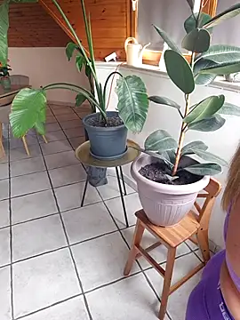 Isabellaa04 online show from 17, 5, 2026