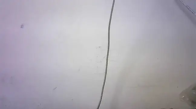 Snapshot of mrose8080 chatting on 6, 3, 2025 mrose8080 online show from 6, 3, 2025