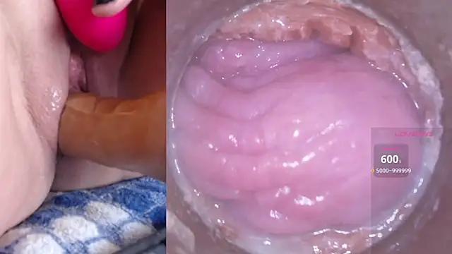 danigirl866 online show from 5, 3, 2025