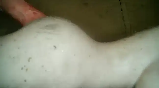 xxxlecram online show from 5, 3, 2025