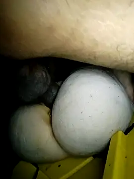 Bigcockmexi13 online show from 23, 3, 2026