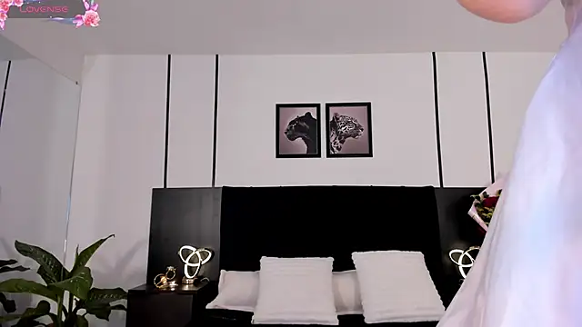 Doll troy online show from 19, 2, 2026