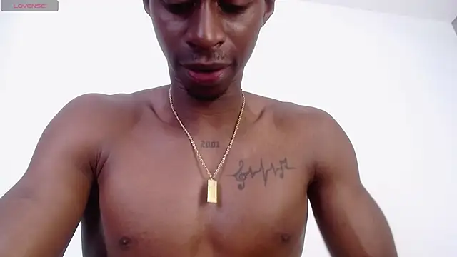 drake brwon 23 online show from 7, 10, 2025